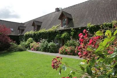 Schönes Ferienhaus mit Pool
