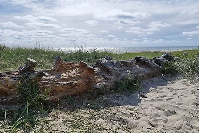 8 Personen Ferienhaus in Blåvand