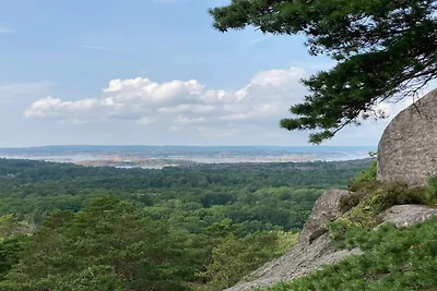 4 Sterne Ferienhaus in Mjörn
