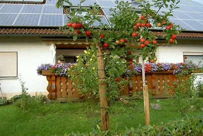 Ferienwohnung mit 1 Schlafzimmer