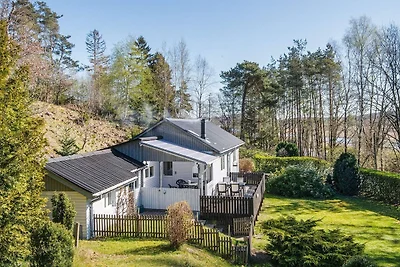 4 Personen Ferienhaus in Silkeborg-By Traum