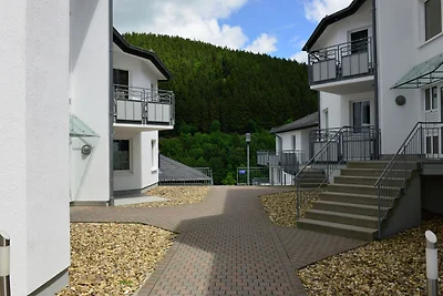 Ampio appartamento per le vacanze a Willingen...