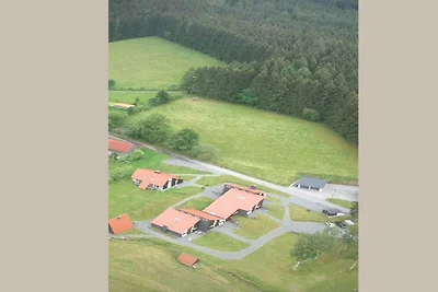 Charmantes Ferienhaus in Skigebietsnähe