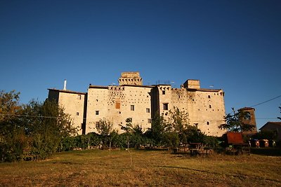 Mittelalterliche Burg mit Swimmingpool im Wal...