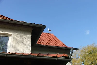 Im Haus Sundevit