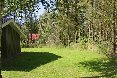6 Personen Ferienhaus in Fjerritslev-By Traum