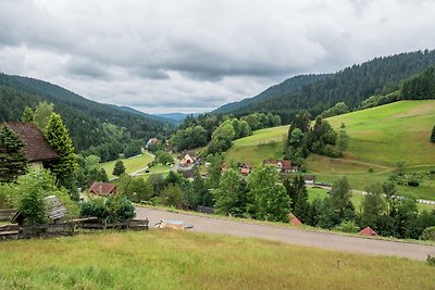 Vakantiehuis in het Zwarte Woud met sauna