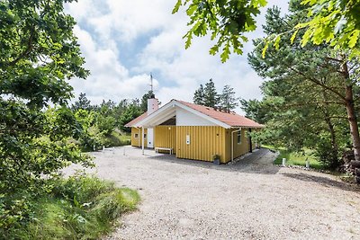 6 persoons vakantie huis in Henne