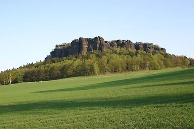 König nahe Bad Schandau