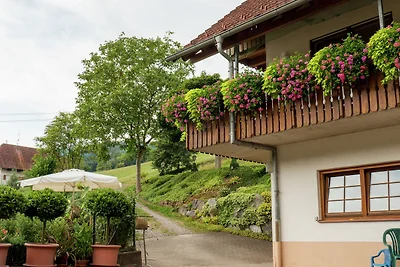 Charmantes Apartment im Schuttertal mit...