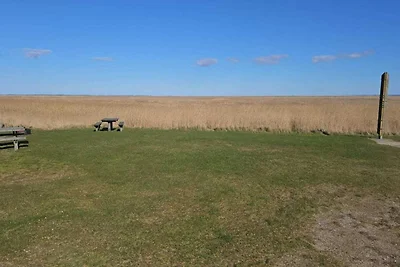 4 Personen Ferienhaus in Fanø