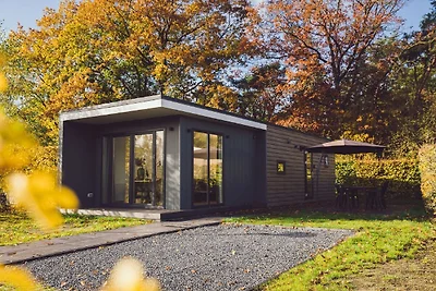 Modernes Chalet mit Naturschutzgebiet