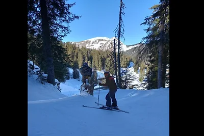 Wohnung in Avoriaz nahe Skipisten