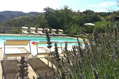 Geräumiges Bauernhaus in Apecchio mit Pool