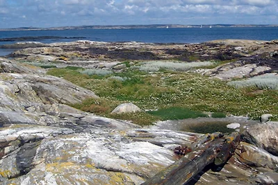 5 Sterne Ferienhaus in MARSTRAND