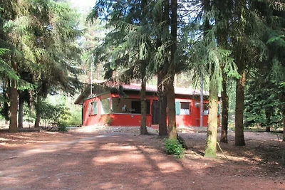 Cabin in Suderburg with swimming pool