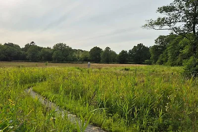 4 Sterne Ferienhaus in Hovborg-By Traum