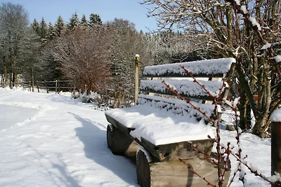Confortevole appartamento nella Foresta Nera