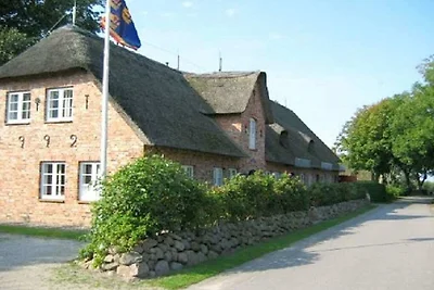 Ferienhaus in Borgsum mit Schwimmbecken