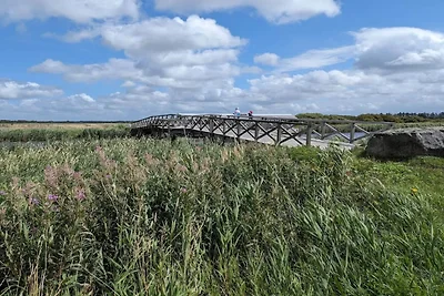 6 persone case ad Ringkøbing-By Traum