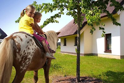 Ferienhaus im Van der Valk Resort in Linstow