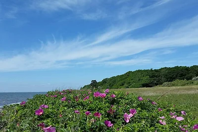 6 Personen Ferienhaus in Dannemare