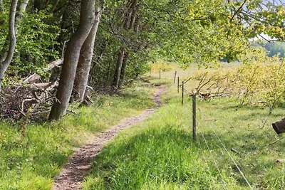 5 Personen Ferienhaus in Stege-By Traum