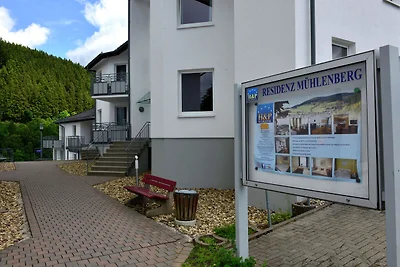 Ampio appartamento per le vacanze a Willingen...