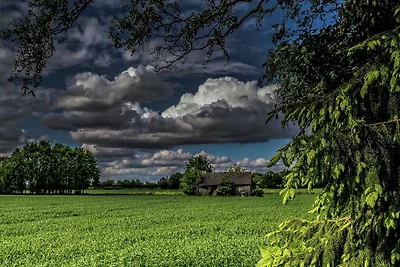 Ruhiger Bauernhof in Geesteren am Waldrand