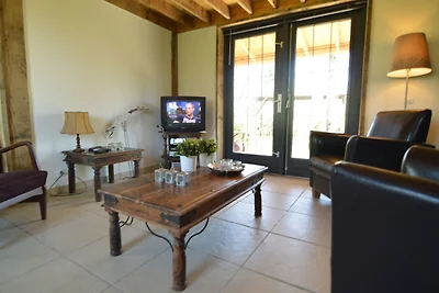 Modernes Ferienhaus mit schönem Garten