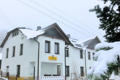 Appartement bij skigebied Tannenbergsthal