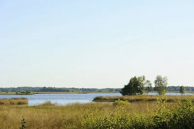 Bungalow con stufa in legno, vicino ad Assen