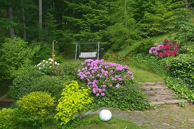 Vakantiehuis aan de rand van het bos