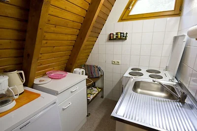 Nurdachferienhaus / Finnhütte "Erika"
