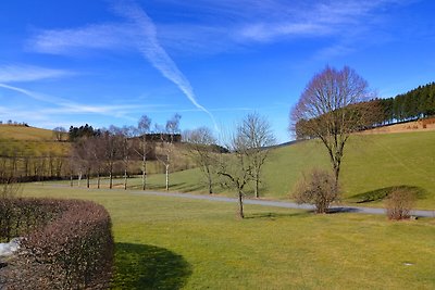 Gezellig appartement in Sauerland met...