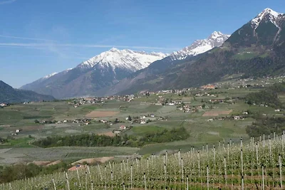 Bellavista Schenna