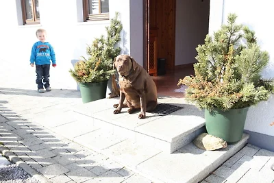 Apartment in Hüttau nahe Skigebiet