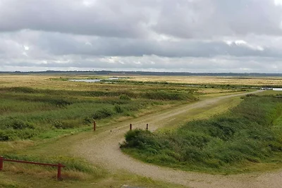 8 Personen Ferienhaus in Skjern-By Traum