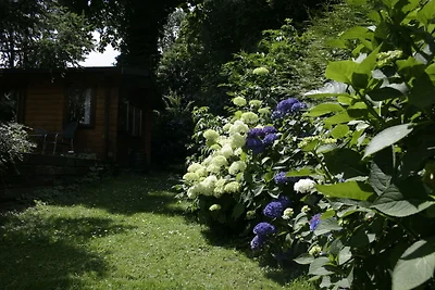 Chalet a Ootmarsum con giardino