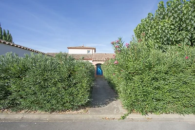 P. Minervois P N°05 - Villa 2P4