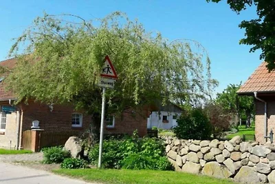 Ferienhaus Erholungsurlaub Zarrentin am Schaalsee