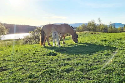 5 persoons vakantie huis in LONEVÅG-By Traum