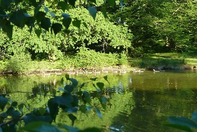 Bed & breakfast in kasteel in Allier