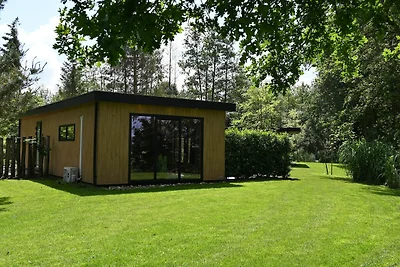 Gemütliche Natur-Lodge in Dalerveen