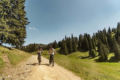 Appartement Perthuis in Chatel