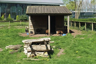 Chalet ben curato vicino al Biesbosch