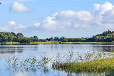 6 persoons vakantie huis in Ansager