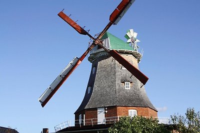 Holländer Windmühle in Neubukow