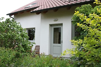 Liliensteinblick