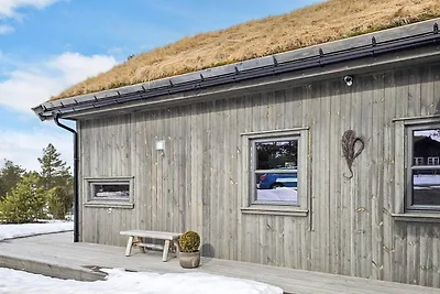 11 Personen Ferienhaus in Hornnes